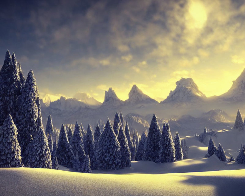 Winter Evergreen Forest in Mountain Foothills at Sunrise