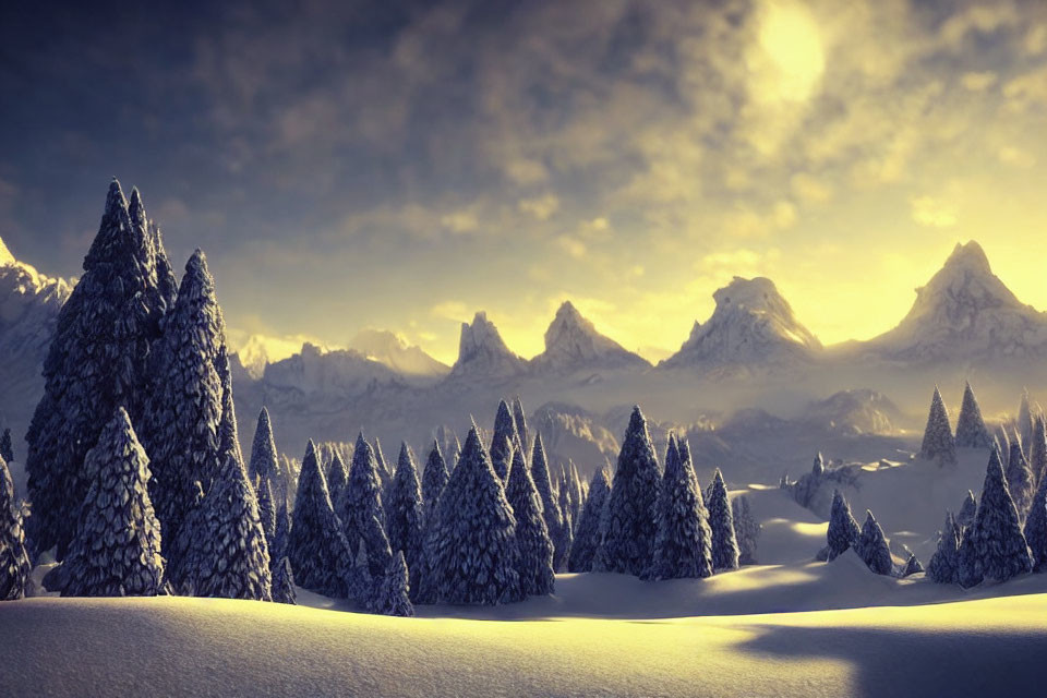 Winter Evergreen Forest in Mountain Foothills at Sunrise