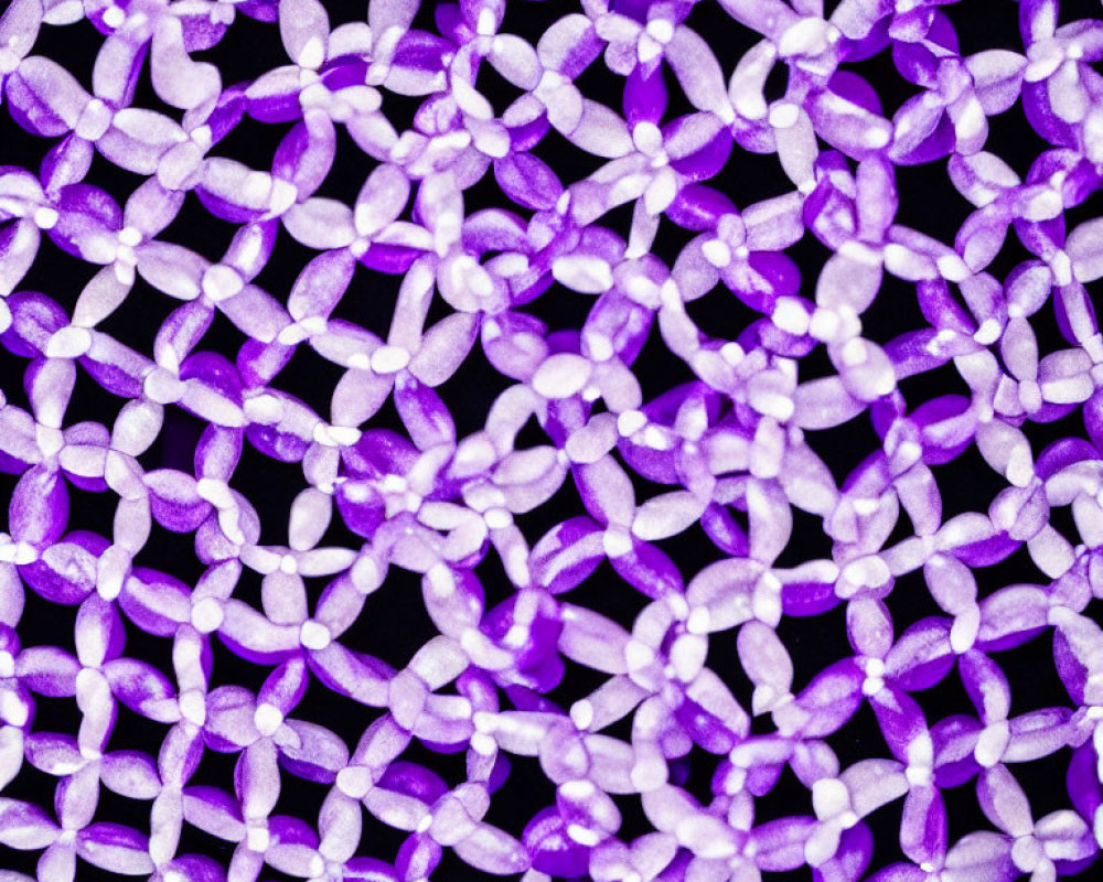 Interconnected Purple Beads Forming Abstract Network