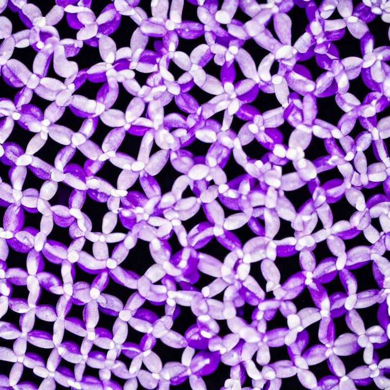 Interconnected Purple Beads Forming Abstract Network