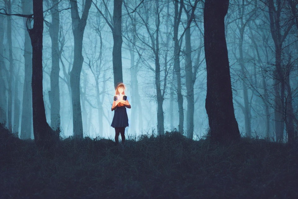 Person holding a lit lantern in misty forest at twilight