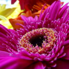 Detailed Large Pink Flower Painting Against Soft Background with Green Leaves