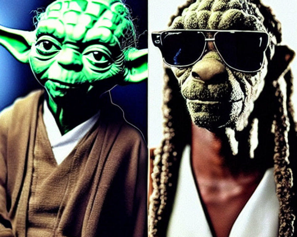 Split Image: Yoda and Man with Dreadlocks in Sunglasses