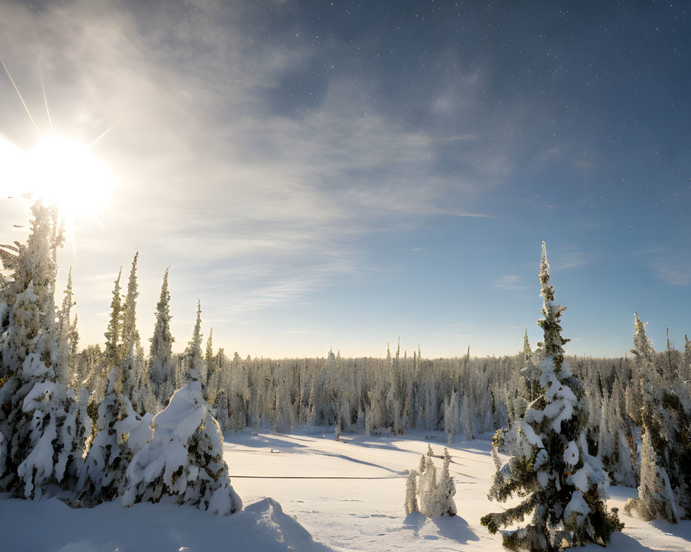 Snow-covered trees under blue sky with peeking sun and faint stars.