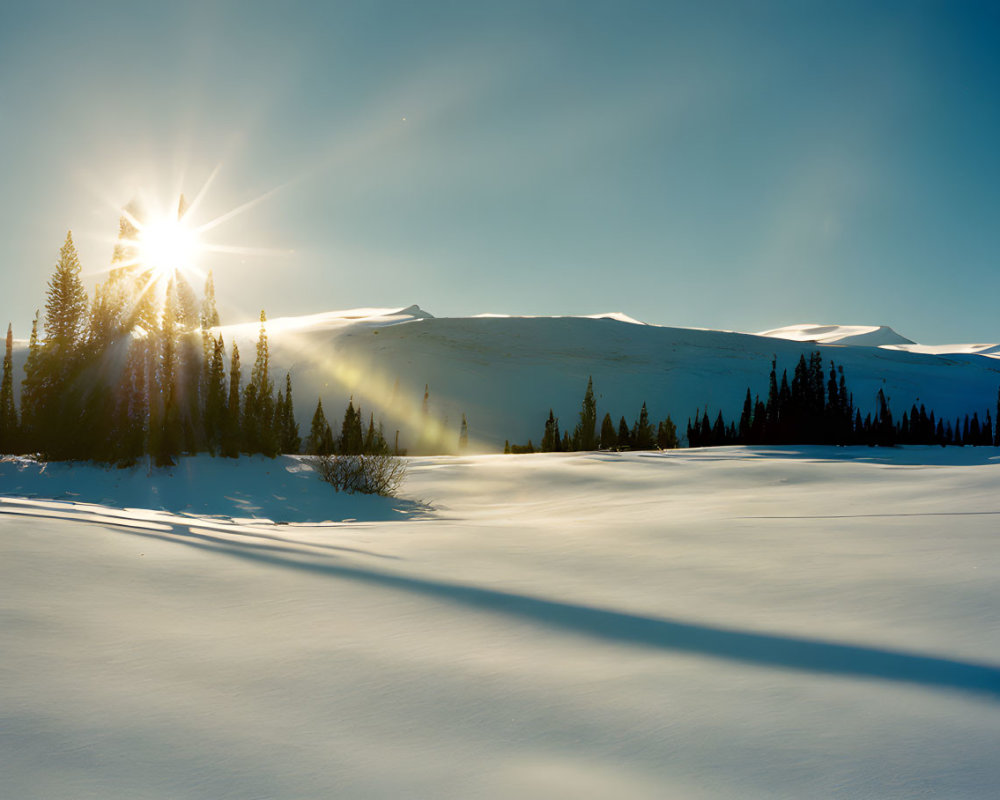 Winter sunset over snow-covered landscape with long shadows