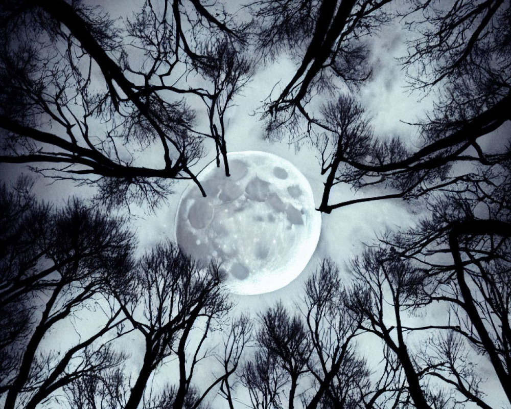 Mystical full moon shining through bare tree branches