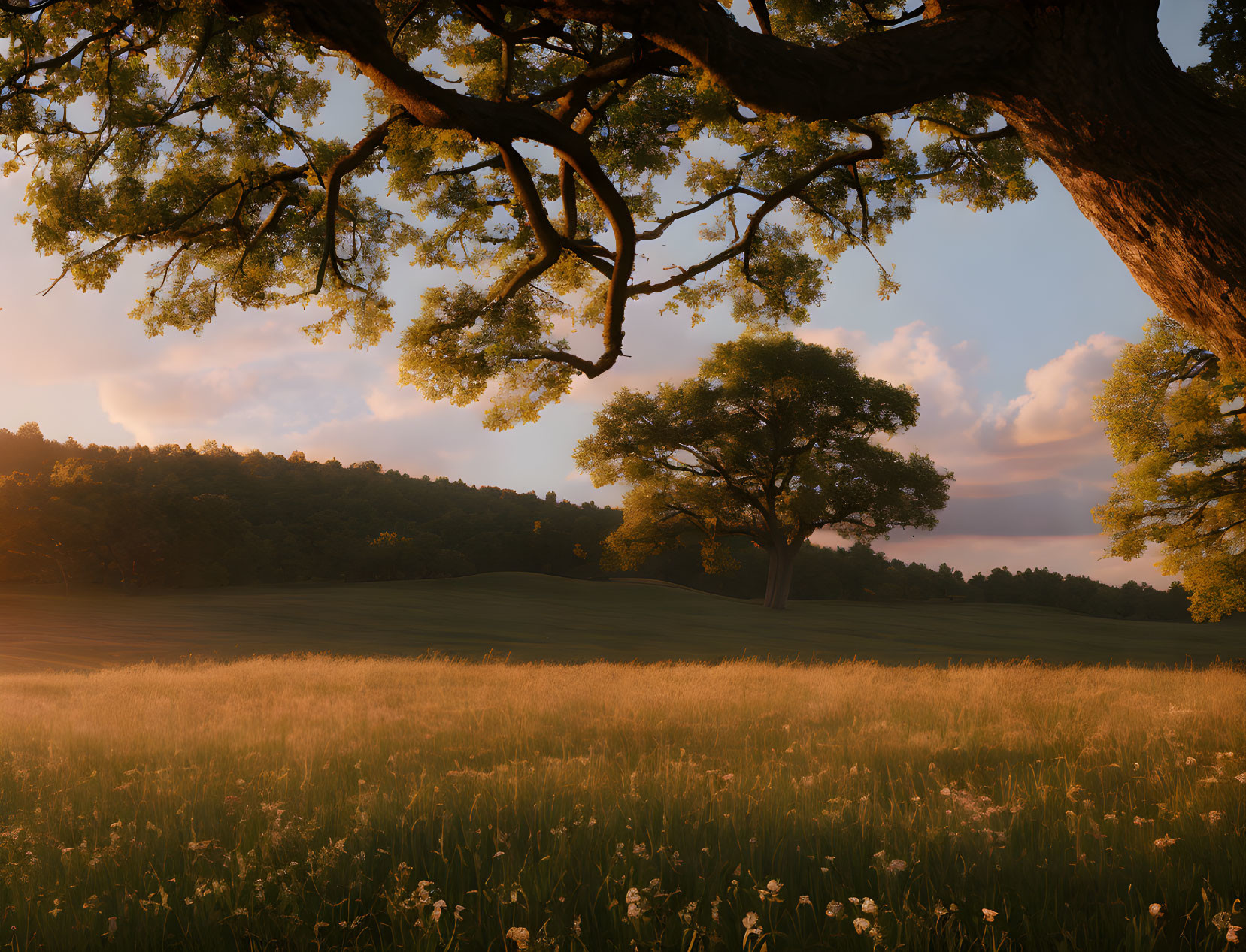 Tranquil sunrise landscape with golden light, leafy tree, tall grass, and rolling hills