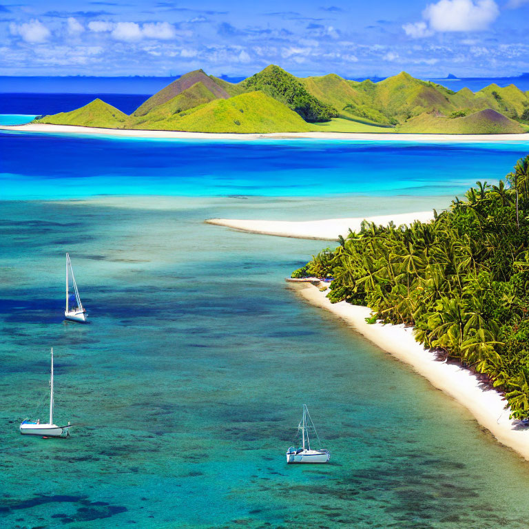 Tropical Beach Scene with Sailboats and Greenery