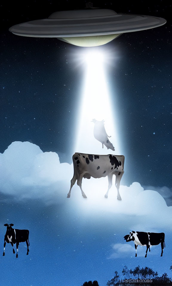 Unusual scene: UFO abducting cow under starry sky