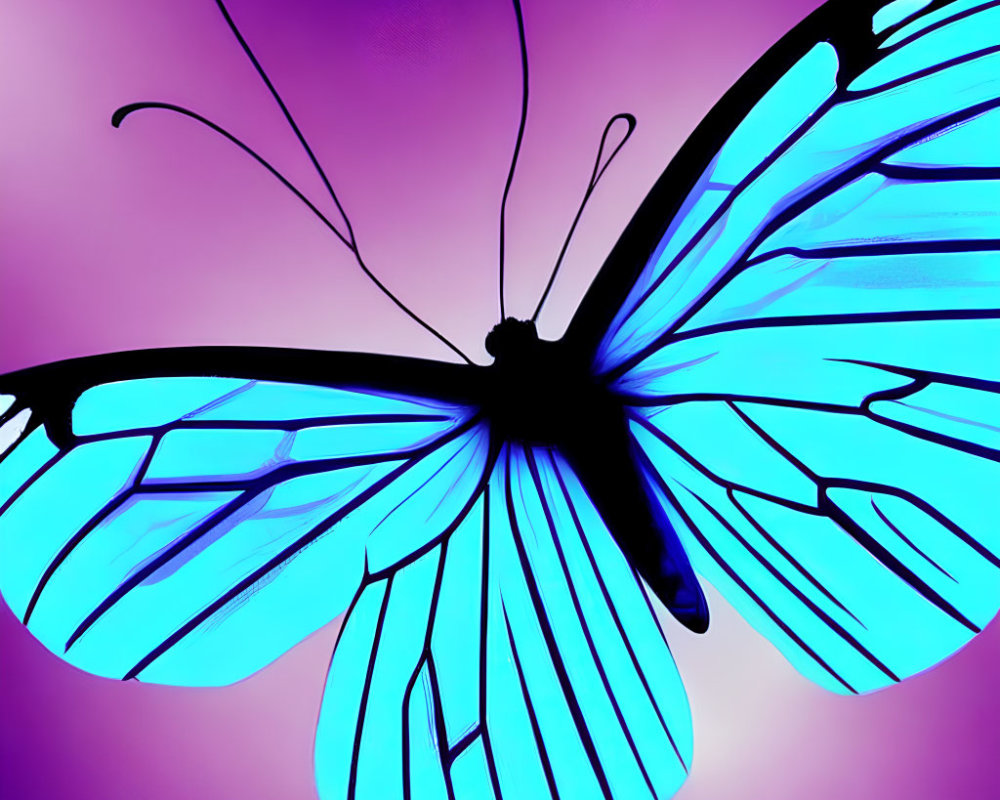 Colorful Blue Butterfly Silhouette on Purple Gradient Background