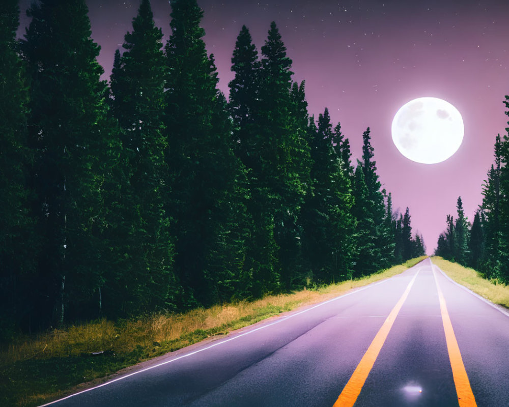 Full Moon Night Scene: Deserted Road, Evergreen Trees, Starry Sky