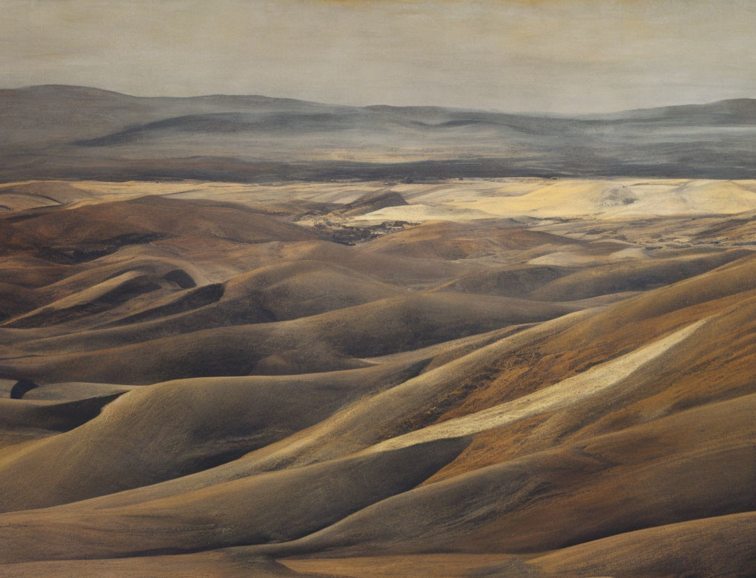 Brown Rolling Hills Under Soft Hazy Sky: Serene Arid Landscape