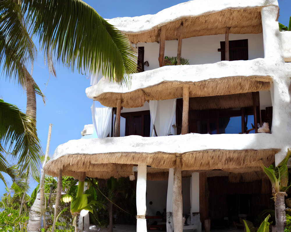 Tropical beachfront building with thatched roof and palm trees