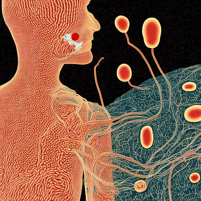 Detailed Human Profile with Vascular and Nervous Systems Overlayed by Abstract Cellular Elements