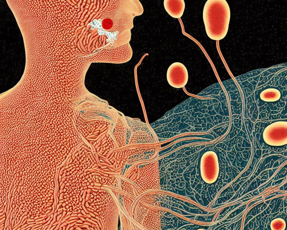 Detailed Human Profile with Vascular and Nervous Systems Overlayed by Abstract Cellular Elements