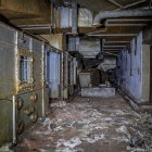 Abandoned room with crumbling walls, fallen ladder, and overgrown vines