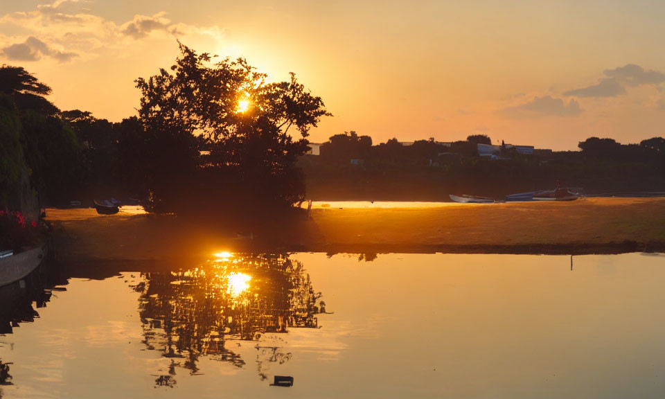 Tranquil river sunset with golden reflection and silhouetted trees