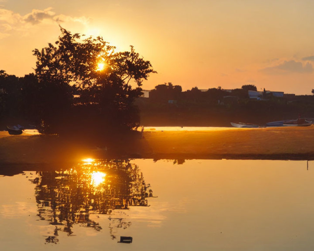 Tranquil river sunset with golden reflection and silhouetted trees