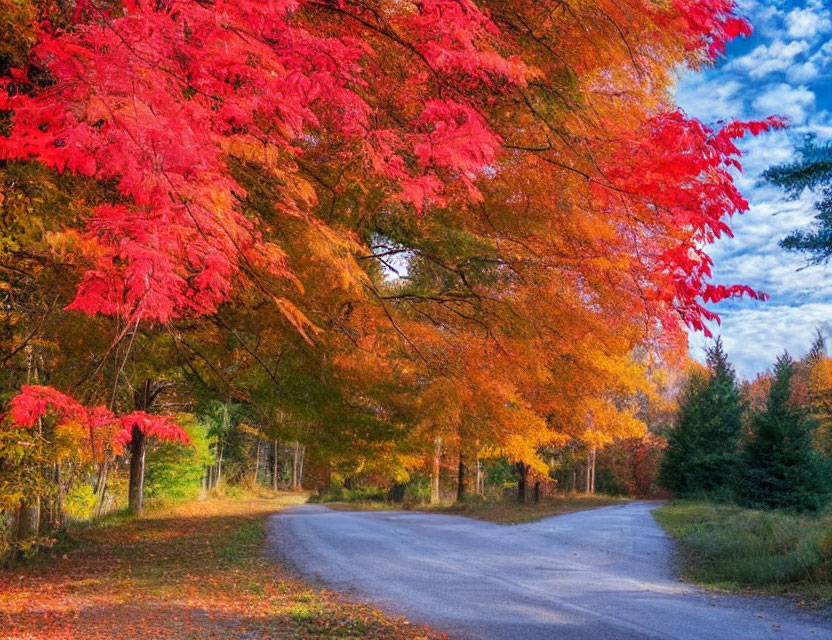 Scenic autumn landscape with winding road and vibrant foliage