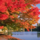 Scenic autumn landscape with winding road and vibrant foliage