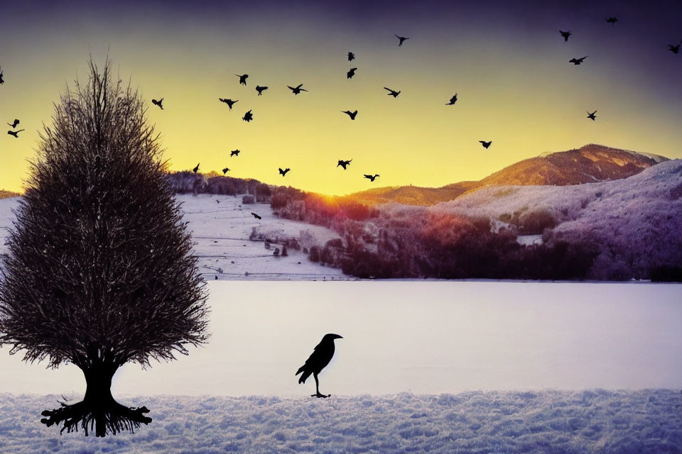 Bird standing on snow near leafless tree with flock flying in twilight sky above snow-covered hills.