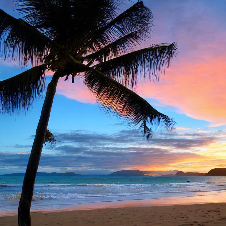 Tranquil Sunset Beach Scene with Palm Tree Silhouette