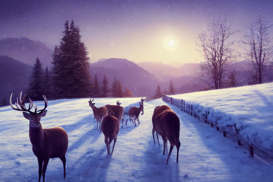 Deer herd in snowy landscape at dusk with starry sky