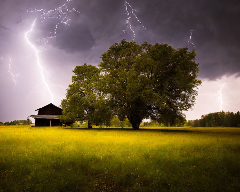 Stormy Sky Over Serene Field with Tree and Barn