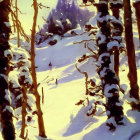 Winter forest scene with snow-covered trees and warm twilight lights.