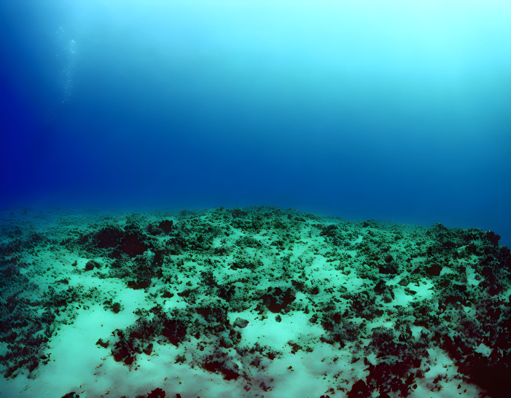 Rocky ocean floor and deep blue abyss in underwater seascape.