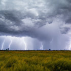 Thunderstorm with lightning strikes over green field.