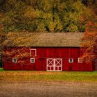 Red house with white chimney surrounded by autumn trees and stone path.