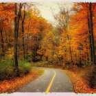 Autumnal forest watercolor painting with stream and golden leaves