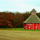 Red houses in whimsical countryside with colorful flowers and flying birds