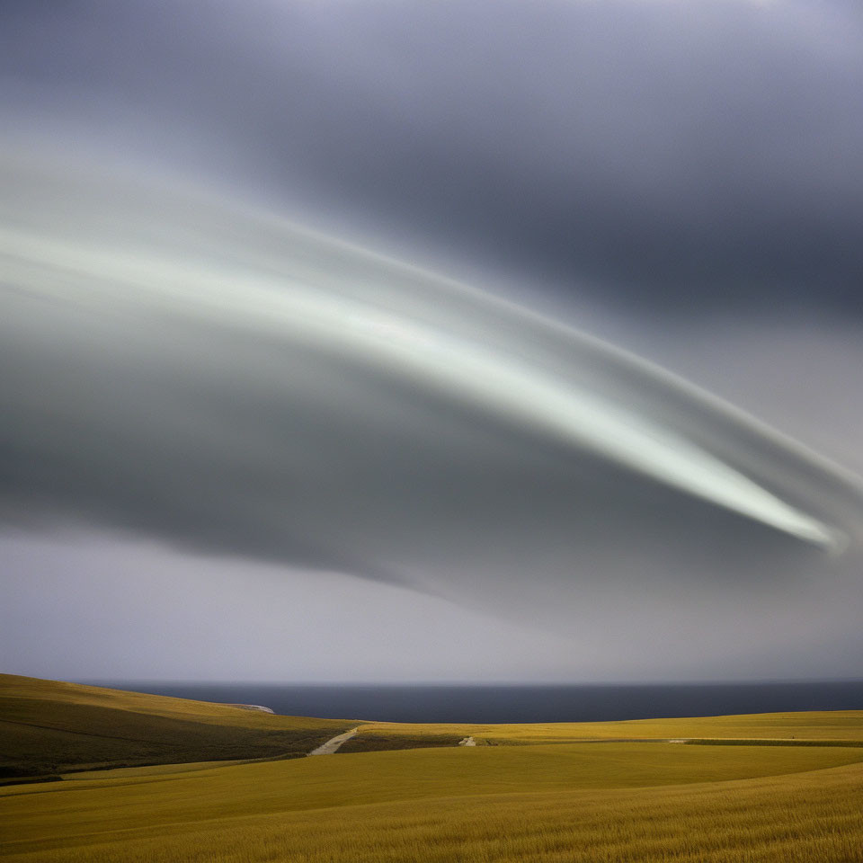 Golden field under dramatic sky with dominant lenticular cloud