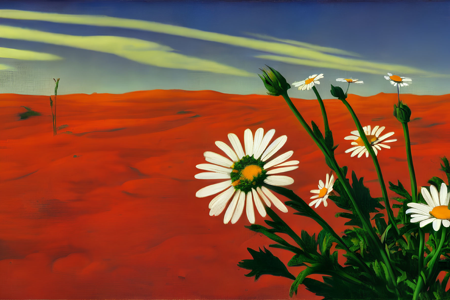 Colorful painting of white daisies in red desert landscape