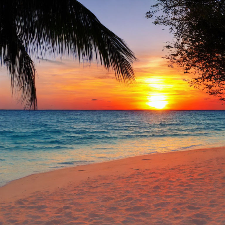 Tranquil Beach Sunset with Orange Sky and Palm Silhouette