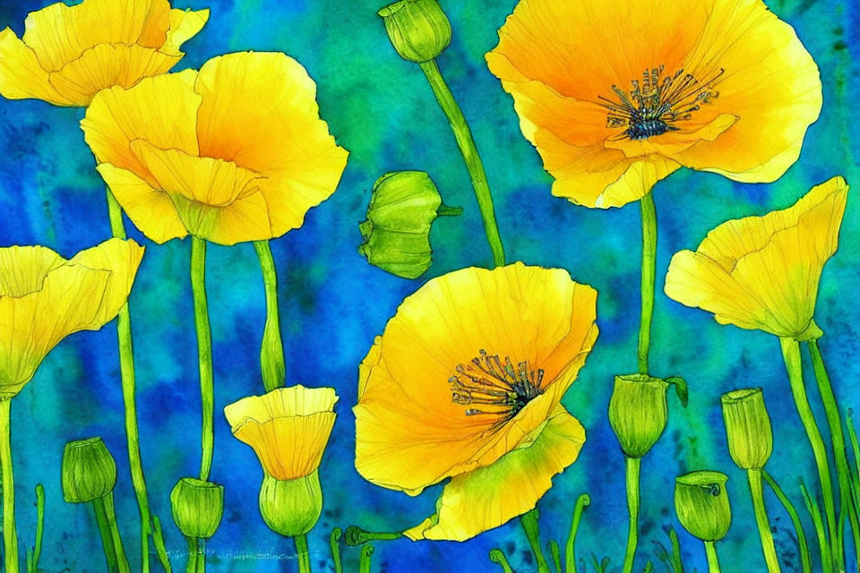 Colorful Watercolor Painting of Yellow Poppies on Blue Background