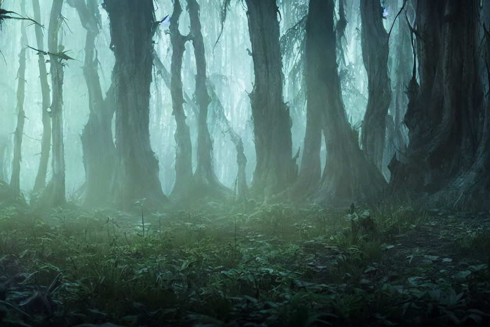 Enchanting misty forest with towering trees and ethereal light