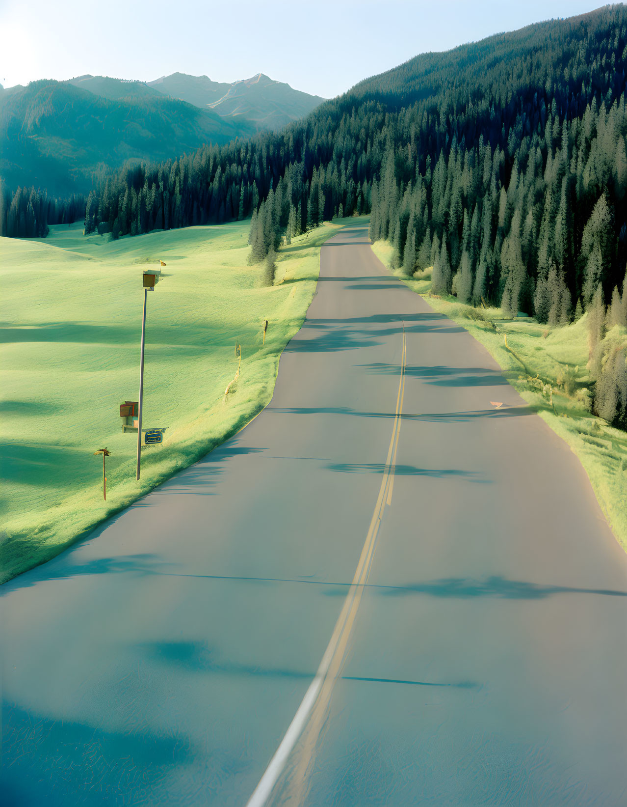 Tranquil asphalt road in lush green landscape