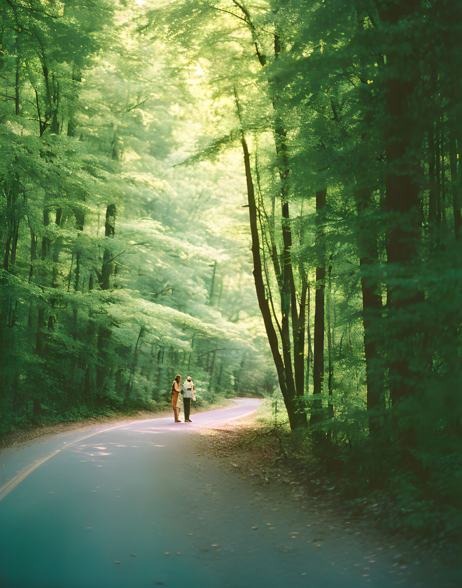 Tranquil forest path with lush green trees and distant figures