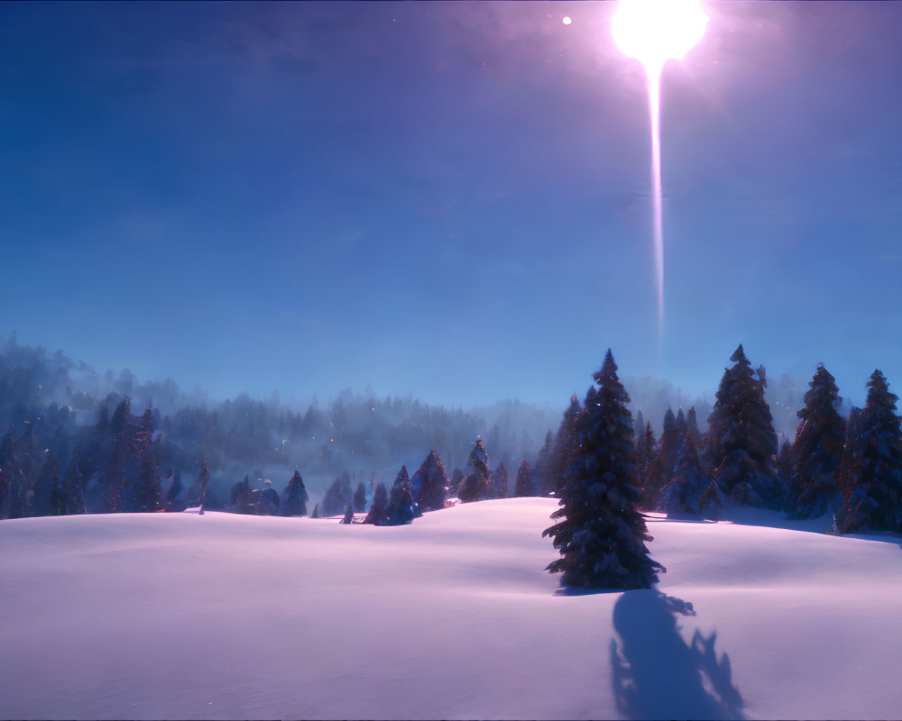 Snow-covered landscape with evergreen trees under a bright sun