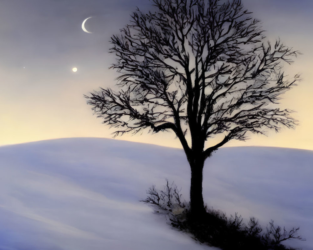 Twilight Sky with Crescent Moon and Snowy Landscape