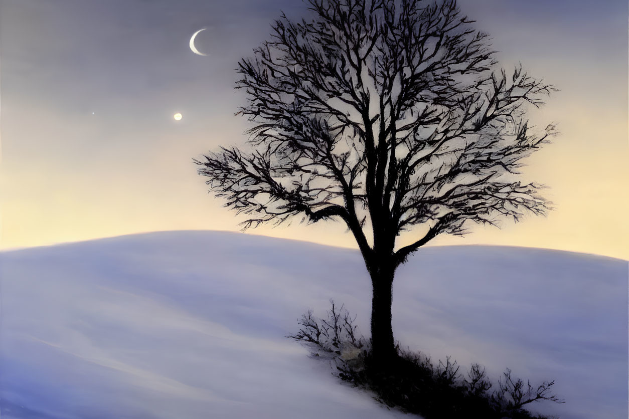 Twilight Sky with Crescent Moon and Snowy Landscape