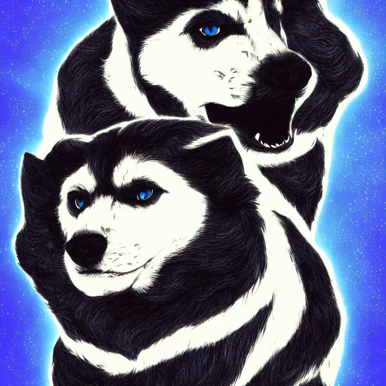 Illustrated Siberian Huskies with blue eyes on starry night sky background