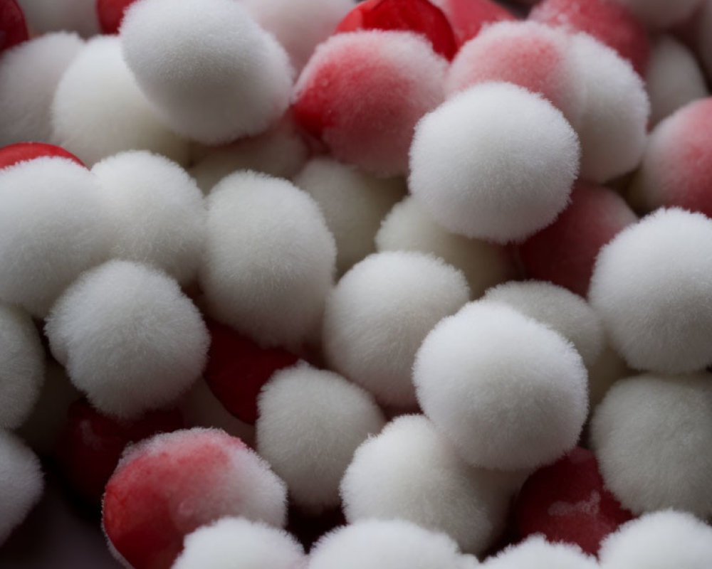 Vibrant red and white pom-poms close-up view