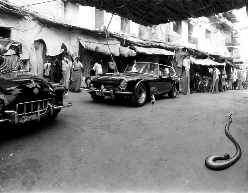 Monochrome image: cobra in street with vintage cars & people in market.