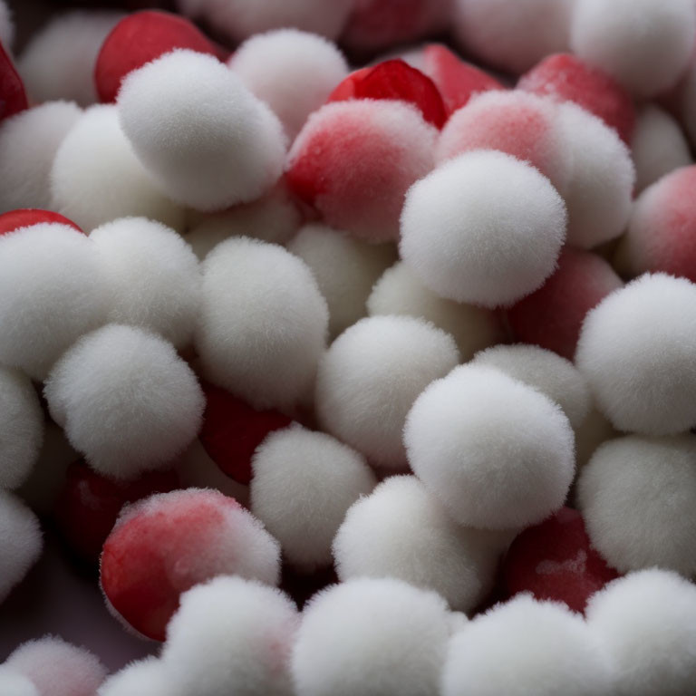 Vibrant red and white pom-poms close-up view