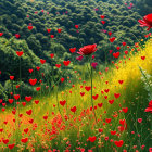 Colorful heart-shaped flowers in lush meadow under green trees