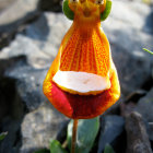 Colorful whimsical character in orange-yellow attire among stylized flowers